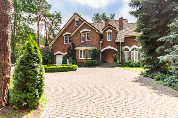 Best Driveway Repair Near Me  in Springfield, MN