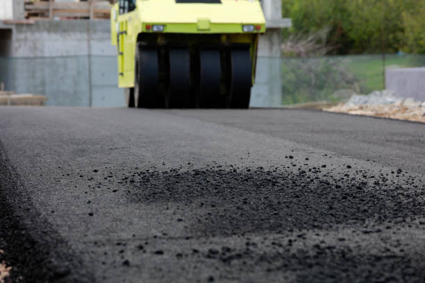 Best Local Driveway Pavers  in Springfield, MN