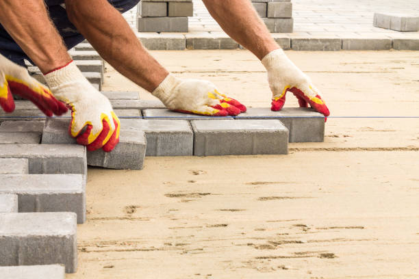 Best Driveway Paving Contractor  in Springfield, MN