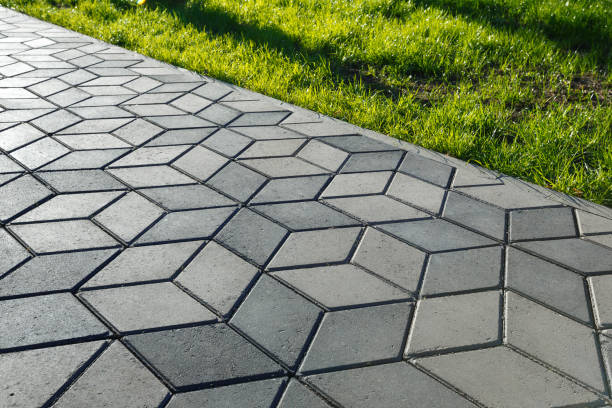 Best Residential Paver Driveway  in Springfield, MN