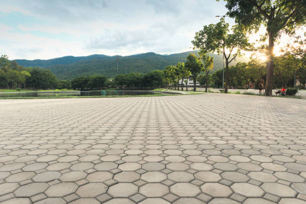 Reasons to Select Us for Your Driveway Paving Requirements in Springfield, MN