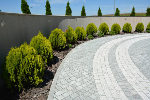 Best Commercial Driveway Pavers  in Springfield, MN