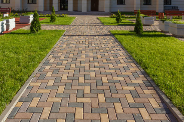 Best Professional Driveway Pavers  in Springfield, MN