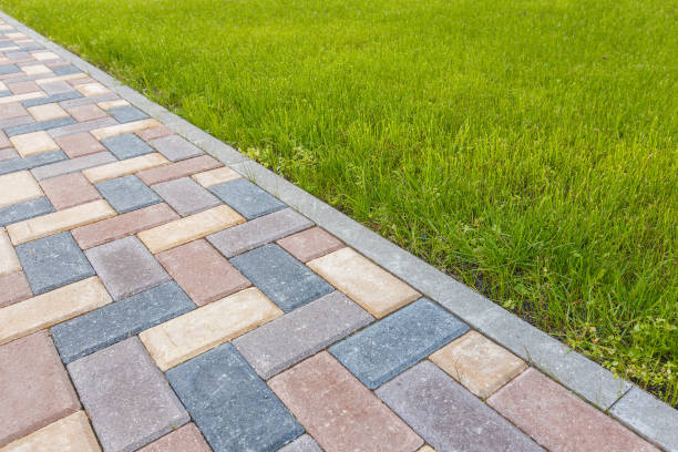 Best Driveway Pavers Near Me  in Springfield, MN